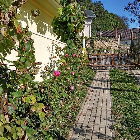 Trenčín Lately Renovated Country House المظهر الخارجي الصورة