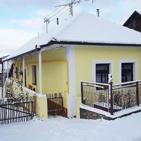 Trenčín Lately Renovated Country House المظهر الخارجي الصورة