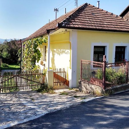 Trenčín Lately Renovated Country House المظهر الخارجي الصورة