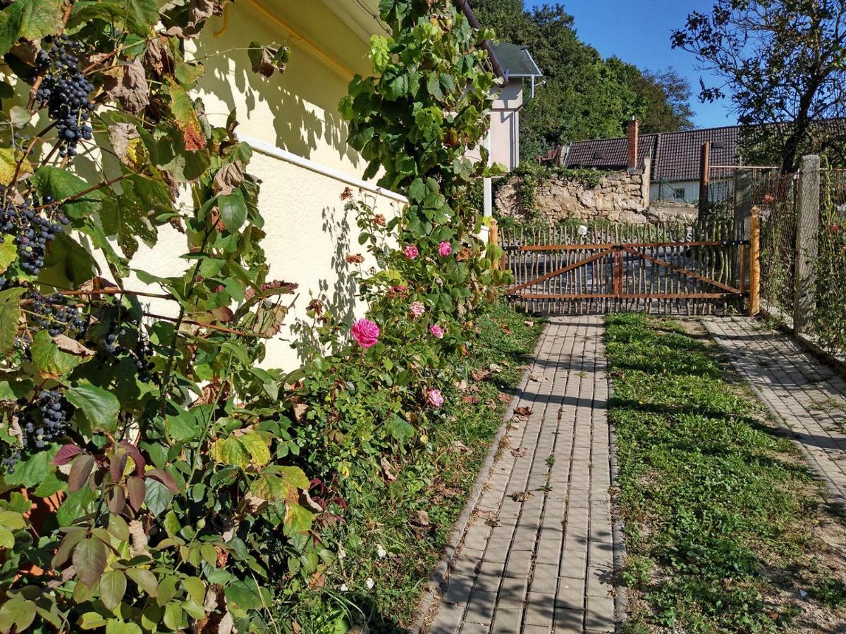 Trenčín Lately Renovated Country House المظهر الخارجي الصورة
