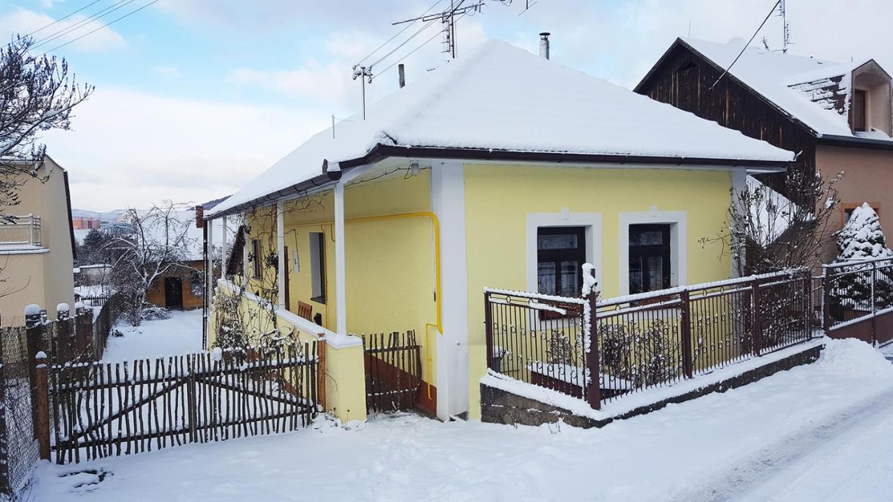 Trenčín Lately Renovated Country House المظهر الخارجي الصورة