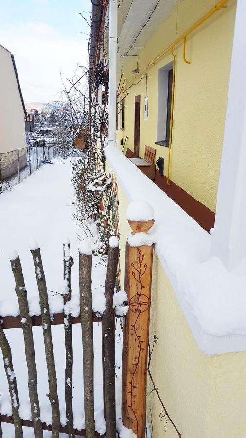Trenčín Lately Renovated Country House المظهر الخارجي الصورة