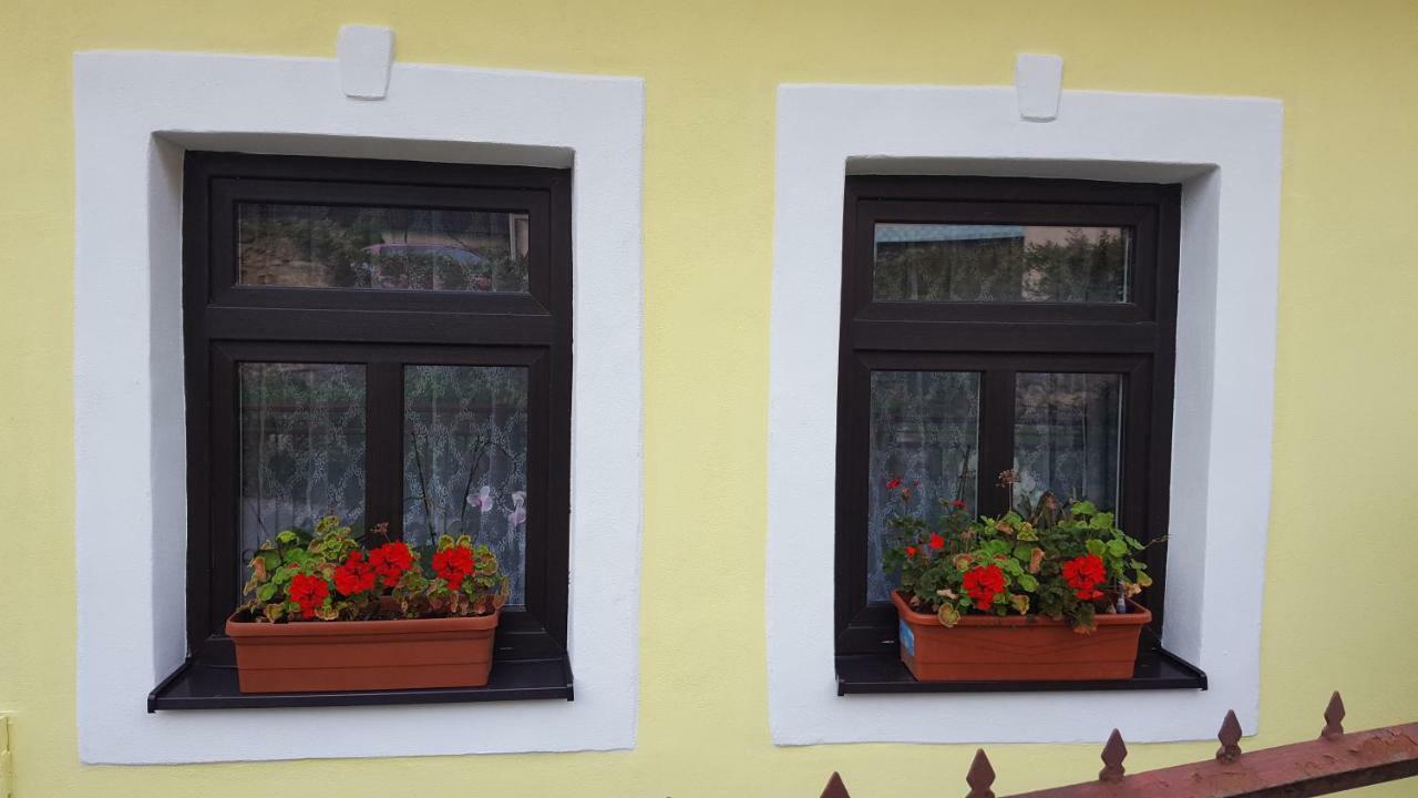 Trenčín Lately Renovated Country House المظهر الخارجي الصورة